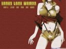 cowboy 13 1024   481  (cowboy 13 1024   ( Anime Wallpapers Cowboy Bebop  ) 481 )